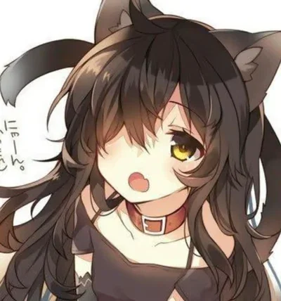 Neko Outbreak Survival