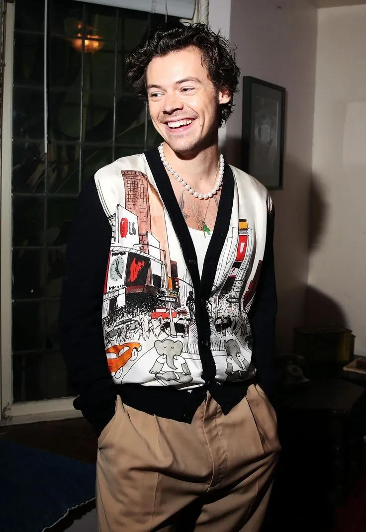 Harry Styles 