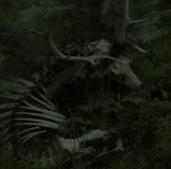 Urzoth