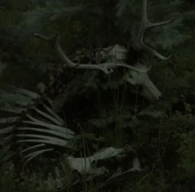 Urzoth