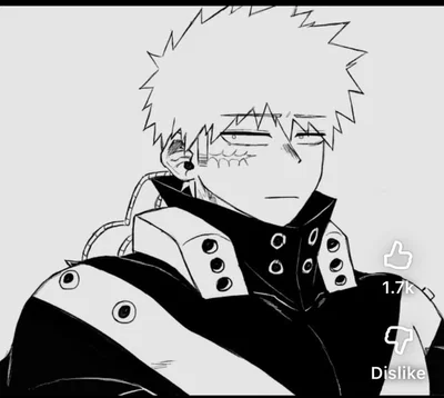Katsuki Bakugou 