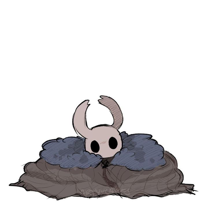 Hollow Knight