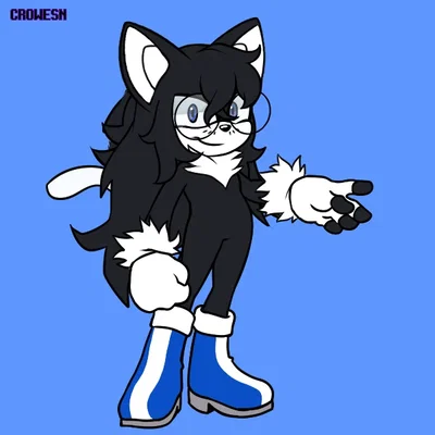 Aster the Cat
