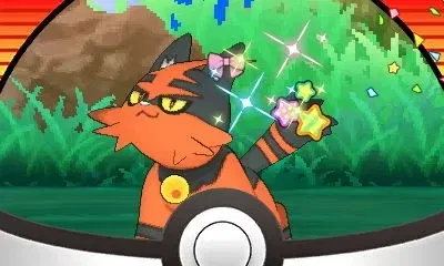 House Cat Torracat