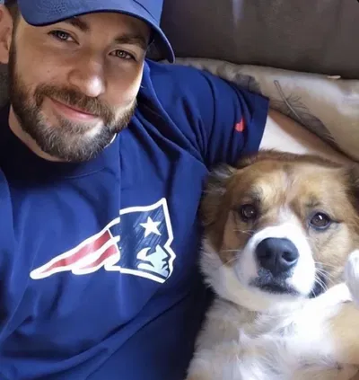💙💪| Chris Evans 