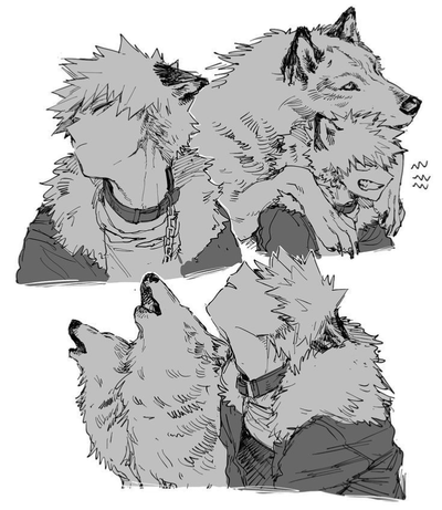 Katsuki Bakugo ~ Wolf AU!