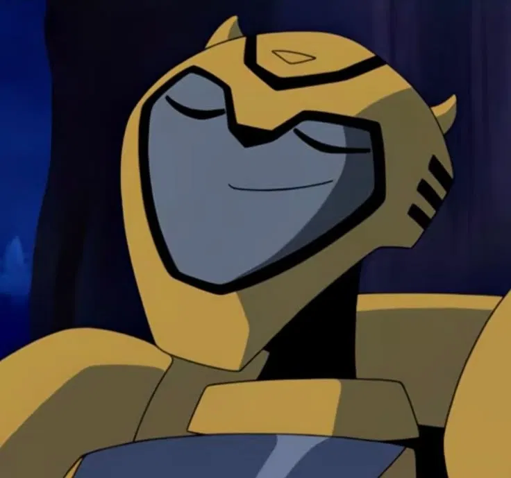 Bumblebee TFA