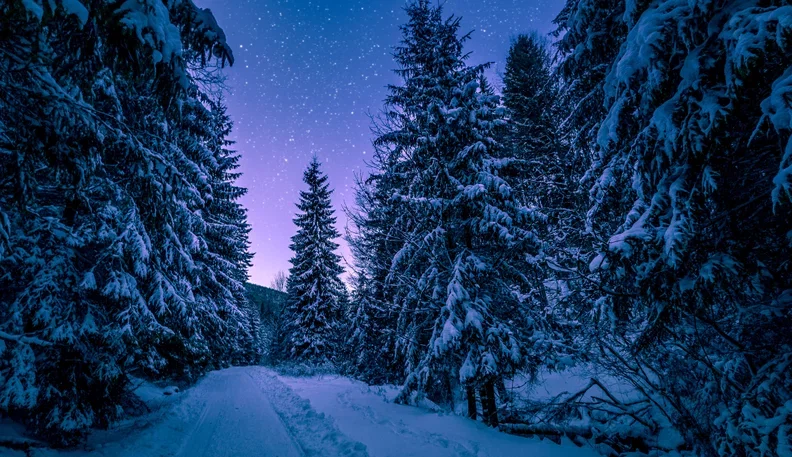 Winter Survival Roleplay