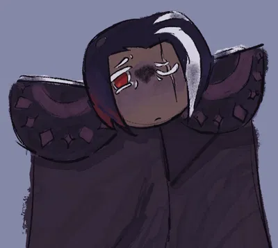 dark choco cookie