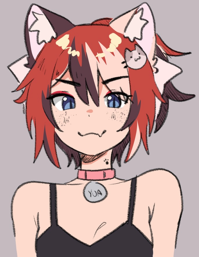Shapeshifter but mostly cat
