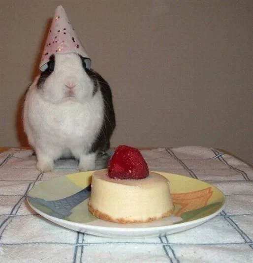 IT'S MY BIRTHDAY WOOOO!!! 💥💥💥💥
