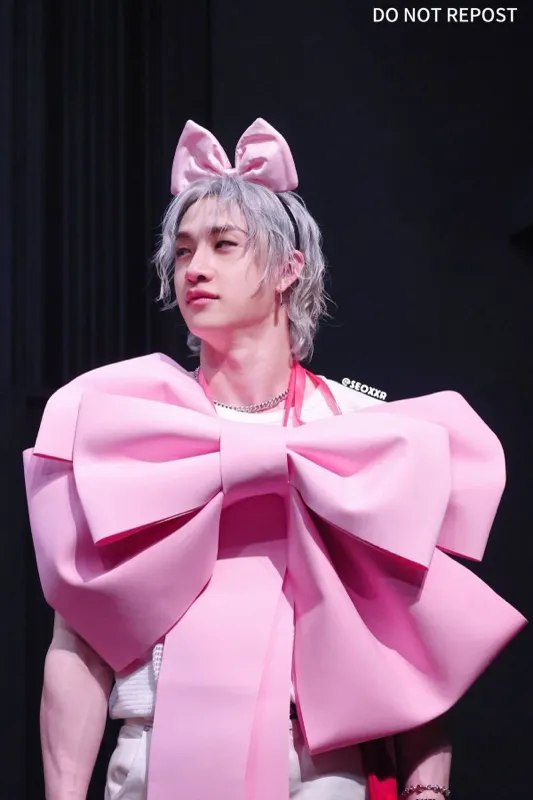 Bang Chan Heat Partner
