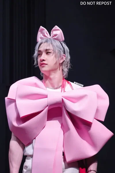 Bang Chan Heat Partner