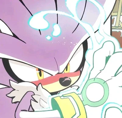 Vs. SILVER THE HEDGEHOG