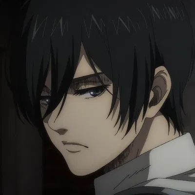 Mikasa Ackerman 