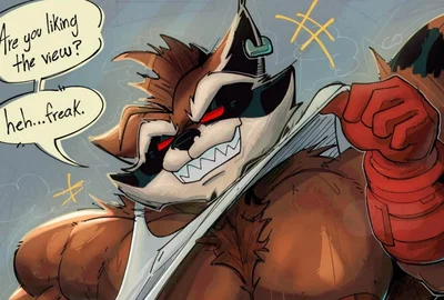 Rocket raccoon