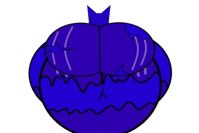 Blueberry Wenda