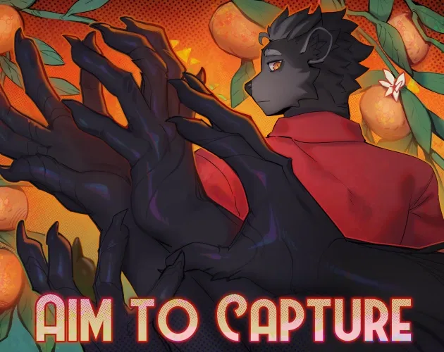 Aim To Capture