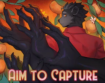 Aim To Capture