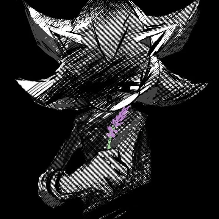 ♥〔Shadow The Hedgehog〕♥