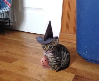HAPPY HALLOWEEN 