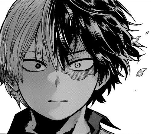 Shoto Todoroki