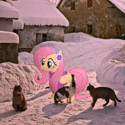 Fun fact: Eating snow can actually be dangerous—not because it’s “poisonous,” but because snow acts like a sponge. As it falls, it can pick up pollutants, bacteria, and even heavy metals from the air. On top of that, eating large amounts of snow can lower 