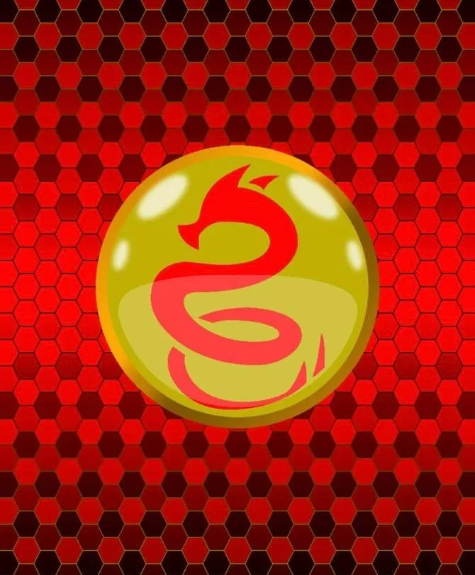 You Have The Dragon Miraculous 