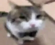 I'm quiting, enjoy the bots