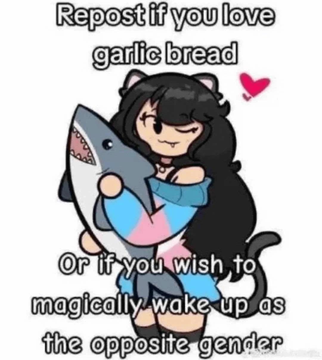 A cat, YOUR cat (def not a catgirl in disguise)
