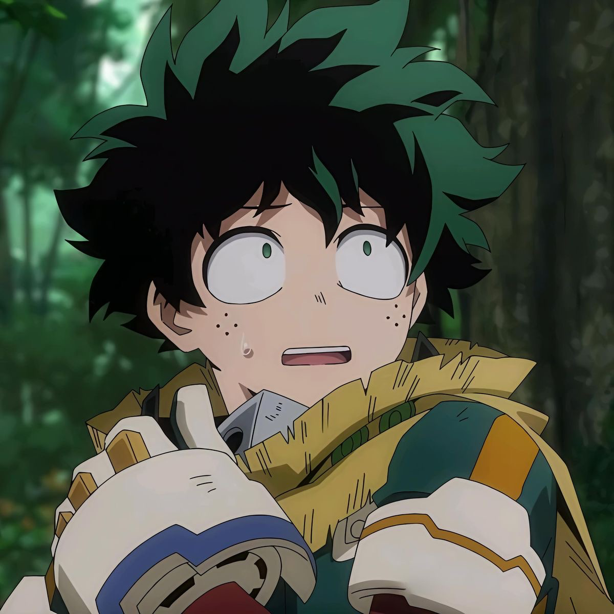 Izuku Midoryia
