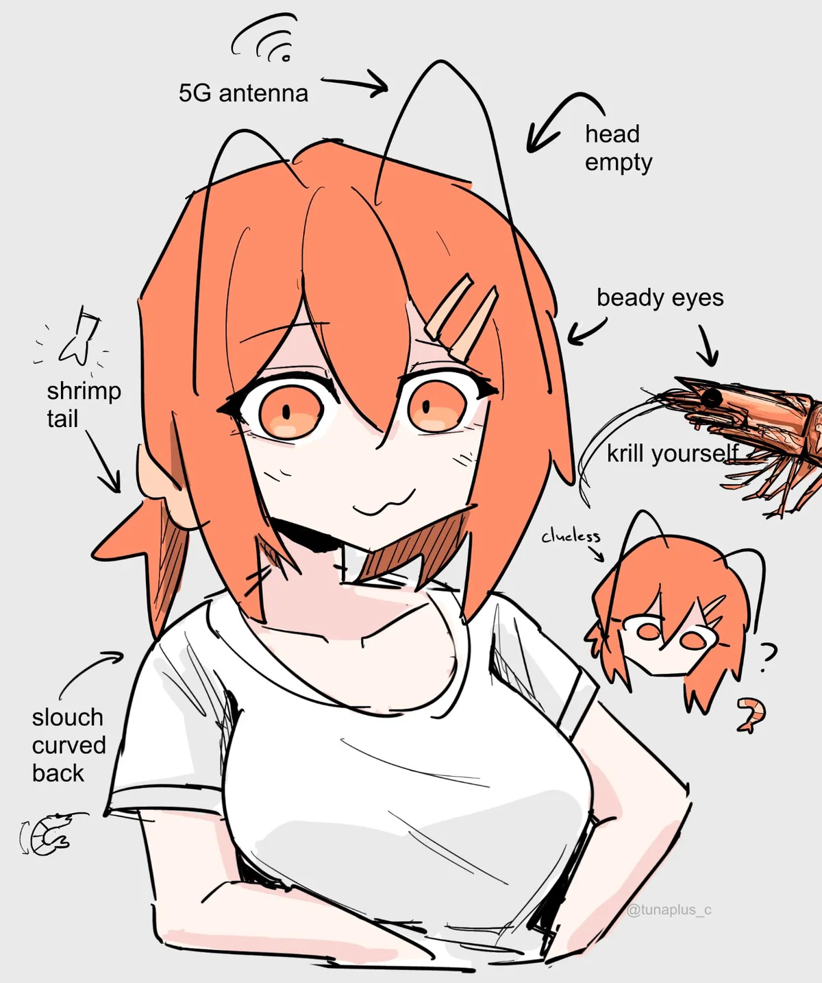 Shrimp