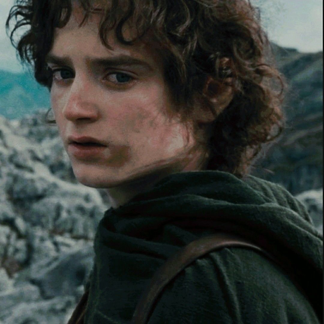 ꧁Frodo Baggins꧂