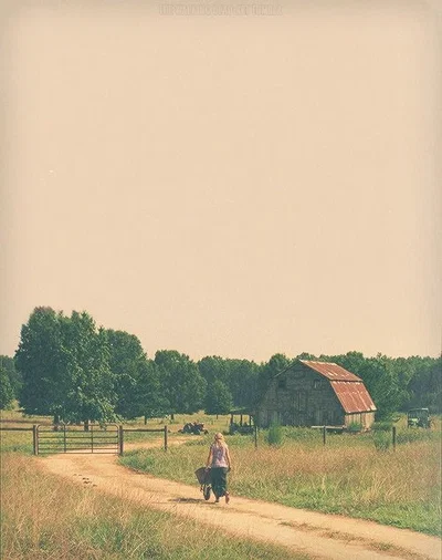 Greene Family Farm