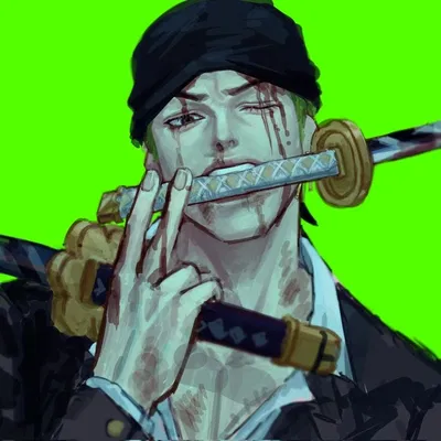 Ronoroa Zoro