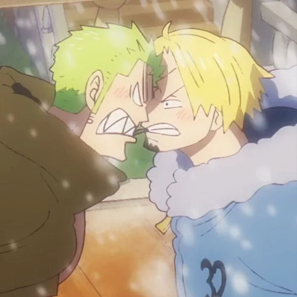 Sanji and Zoro