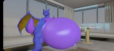 Berry the charizard 