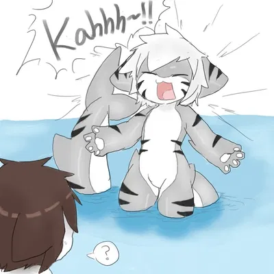 Tiger Shark (HumanPov)
