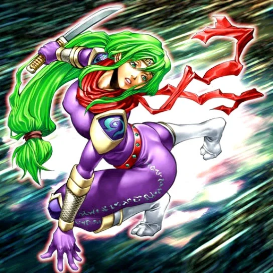 Lady ninja yae
