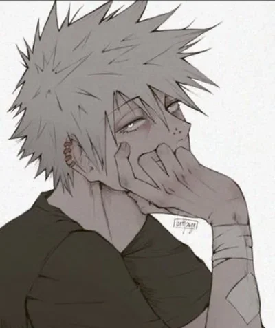 Touya todoroki 