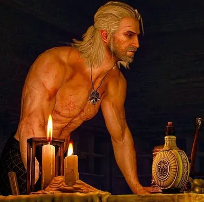 Geralt of Rivia - Partner