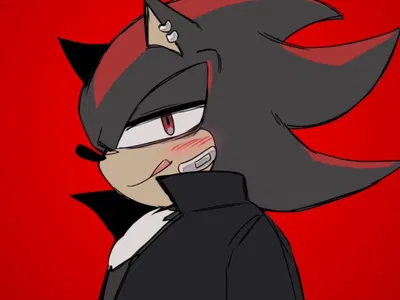 Shadow The Hedgehog