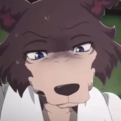 Juno The Grey Wolf