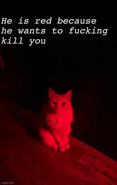 Evil Red Cat the killer