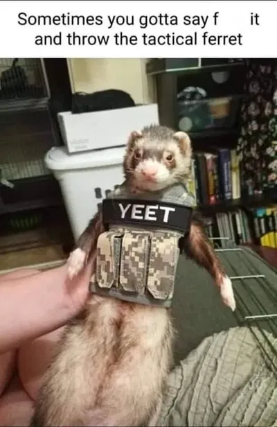 Yo
