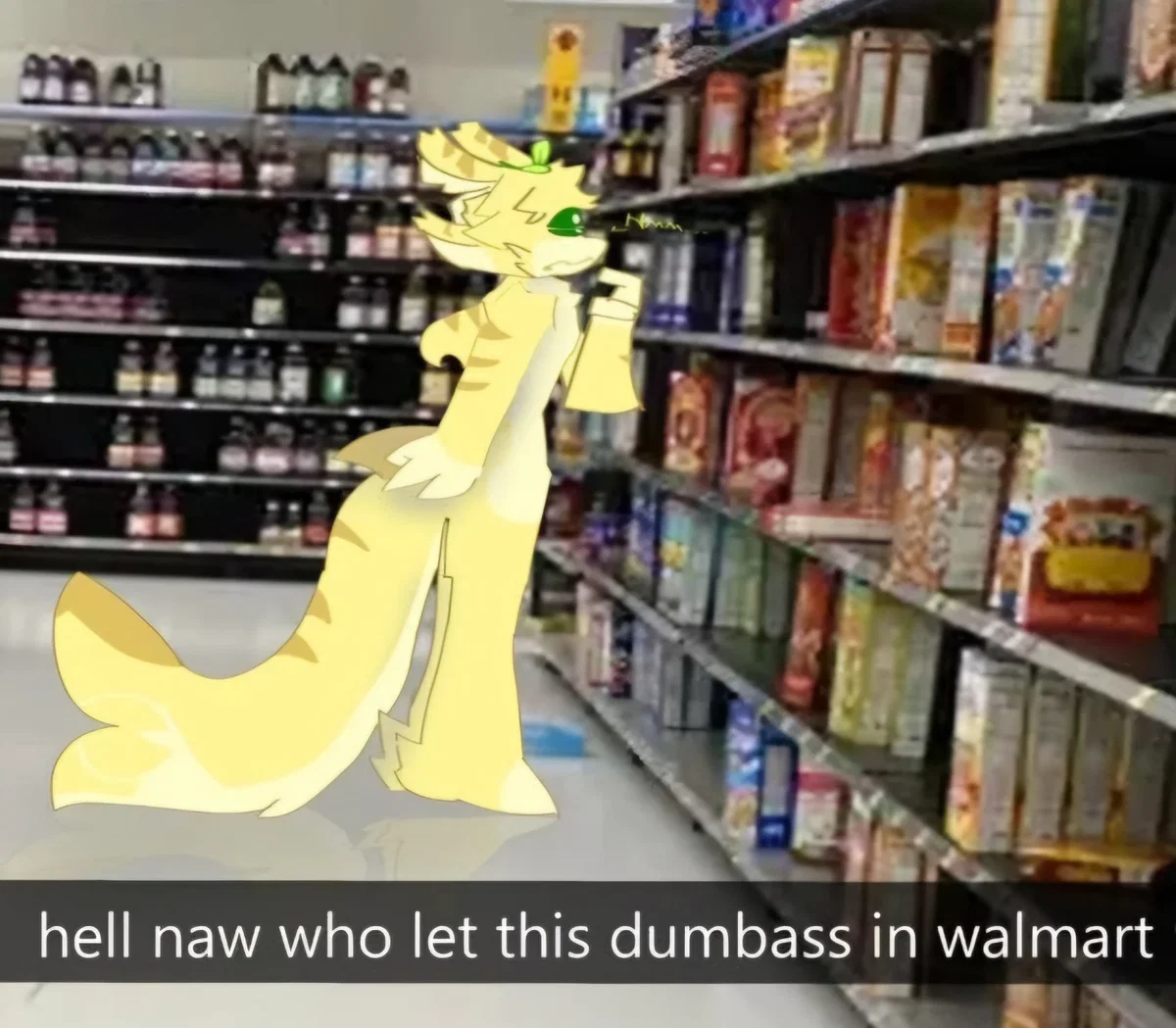 Lemon Shork | OOF