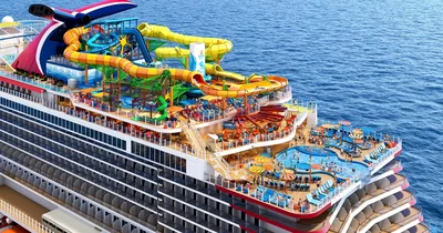 Feederism cruise