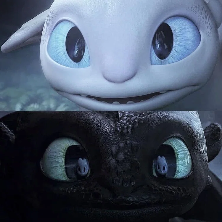 Toothless and the Light Fury