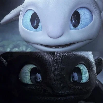 Toothless and the Light Fury
