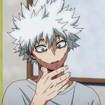 Touya Todoroki 